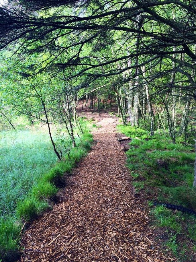 20140516-110531 pm.jpg